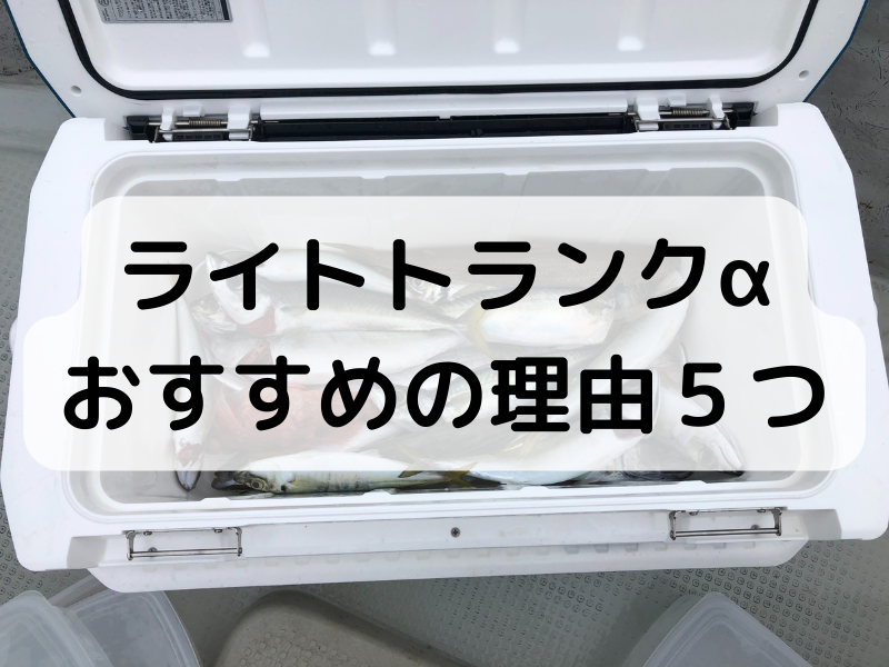 5年保証』 ダイワ DAIWA クーラーボックス ライトトランクα SU3200 アイスブルー 釣り materialworldblog.com